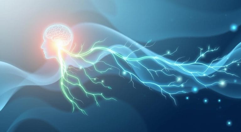 Harnessing the Power of the Vagus Nerve: Natural Relief for Menopause Symptoms